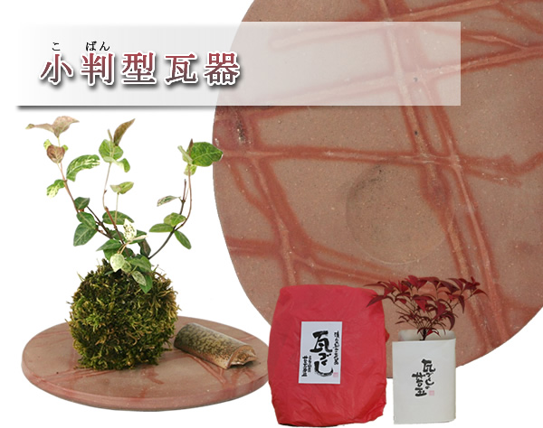 http://image.rakuten.co.jp/oni-seisen/cabinet/koban/img55597439.jpg