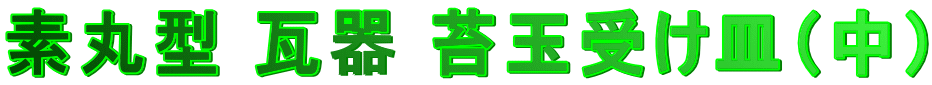 �f�ی^ ���� �ۋʎ󂯎M�i���j